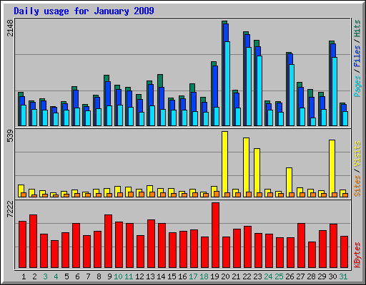 Daily usage for January 2009