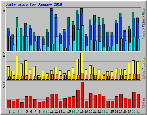 Daily usage for January 2010