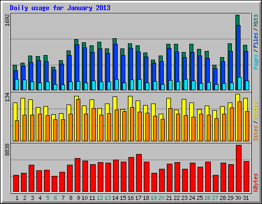 Daily usage for January 2013