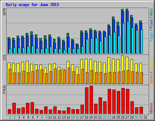 Daily usage for June 2013