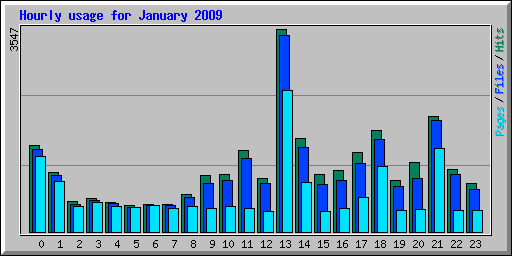 Hourly usage for January 2009