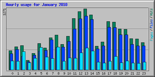 Hourly usage for January 2010