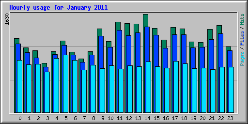 Hourly usage for January 2011