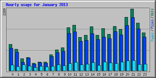 Hourly usage for January 2013