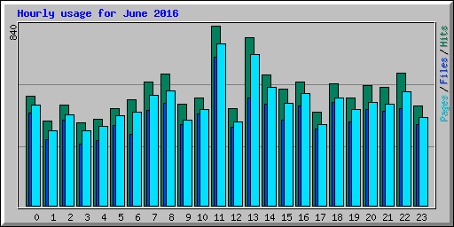 Hourly usage for June 2016