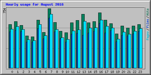 Hourly usage for August 2016